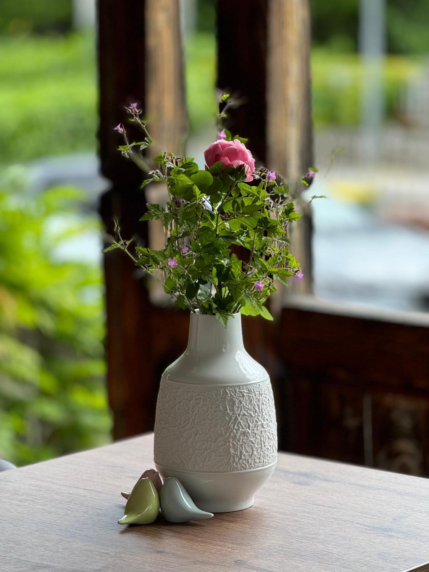 Vila Alice Bled - Adults Only Ngoại thất bức ảnh