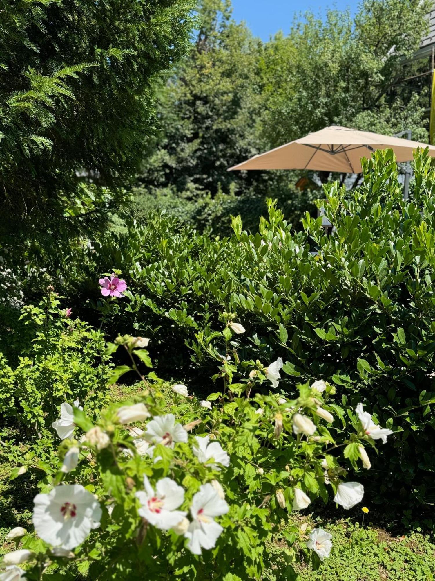 Vila Alice Bled - Adults Only Ngoại thất bức ảnh